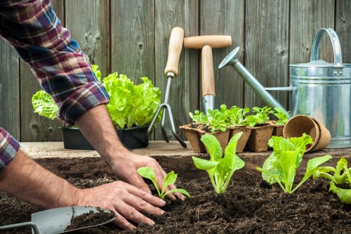 Illustration of garden maintenance tools in Pimlico