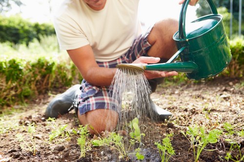 Front view of a maintained urban garden with tools and trimmed hedges