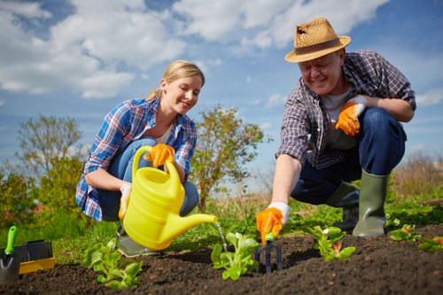 In the image, two individuals are engaged in gardening activities in a well-maintained outdoor garden space. The scene shows a sunny day with a clear blue sky, and the garden features a neatly cultivated soil bed with young, green leafy plants growing in rows. One person, a woman, is crouched down holding a yellow watering can, watering the plants with a smile. She is dressed in a plaid shirt and gardening gloves. The other individual, a man, is also crouched, wearing a straw hat, a plaid shirt, and gloves, and is using a small gardening tool to tend to the soil or plants. Surrounding the planting area, there is a lush grassy area and some trees in the background, indicating a natural outdoor environment. The scene captures an aspect of gardening that could be typical in residential or community gardening services in Pimlico, with a focus on planting, watering, and soil care, emphasizing the importance of outdoor maintenance and garden cultivation.